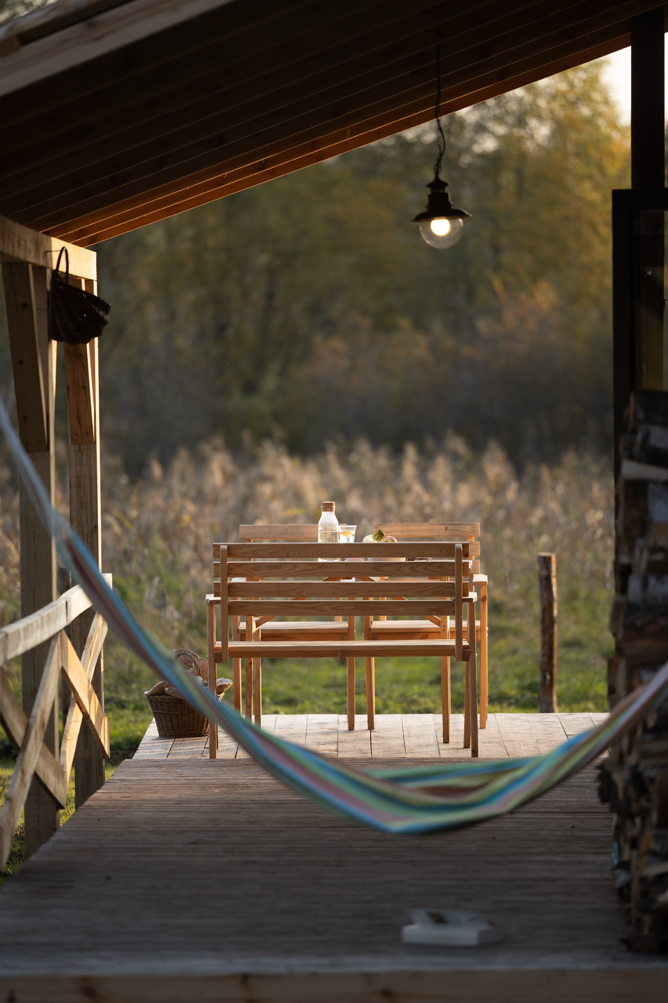 A house in the woods and hammock