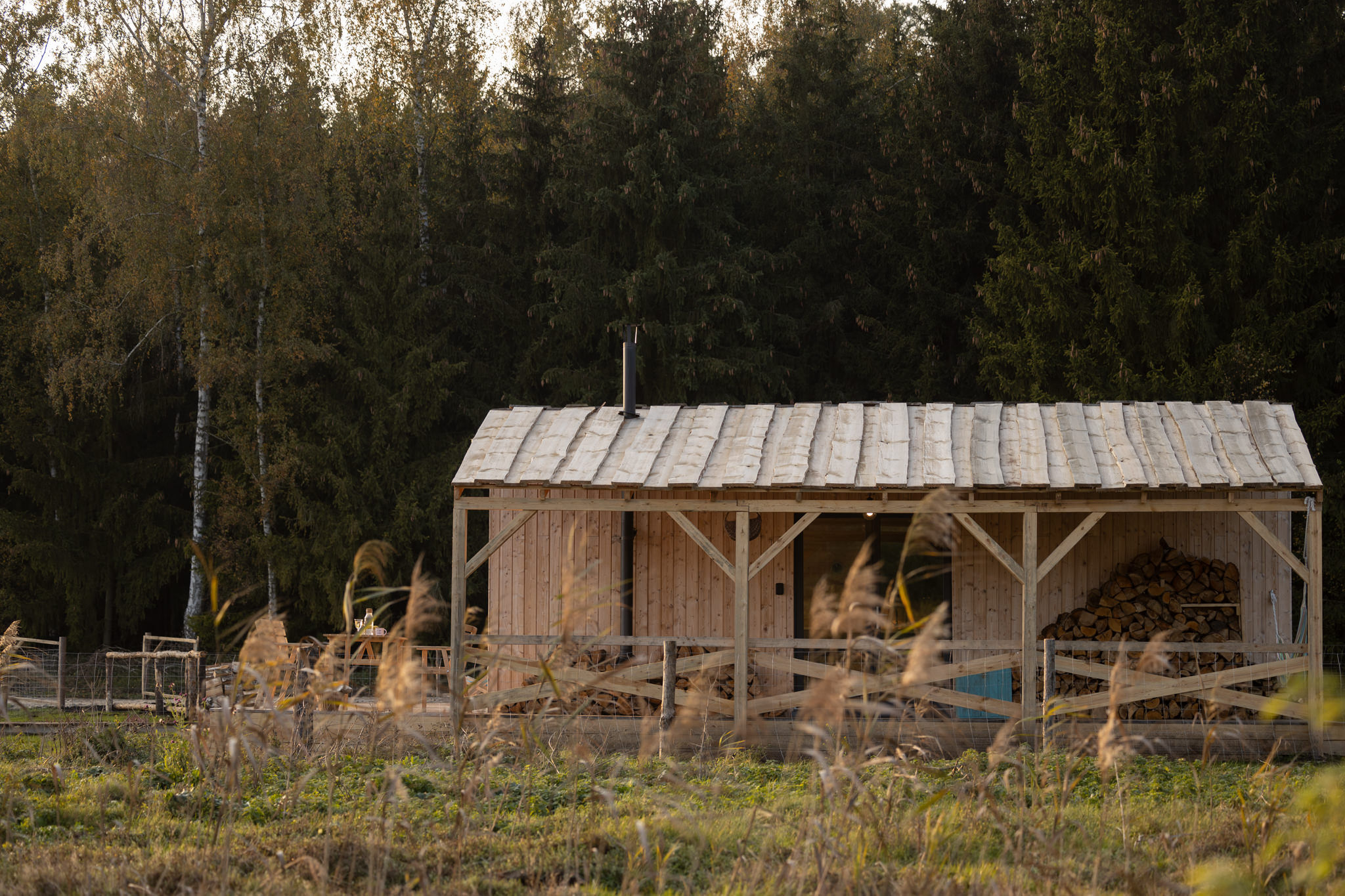 House in the woods